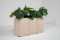 BuzziChicle Planter