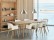 Annex Table