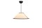 Ava Lamp Collection
