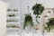 Patio planters