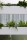 Patio planters