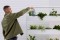 Patio planters