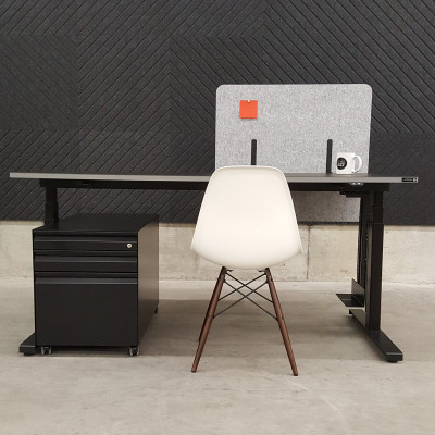 EchoCove DESK