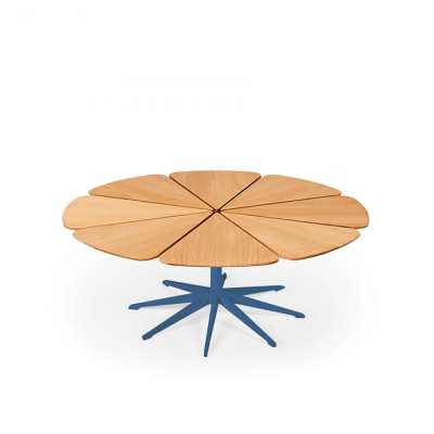 Petal Coffee Table