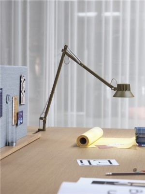 Dedicate Table / Wall Lamp