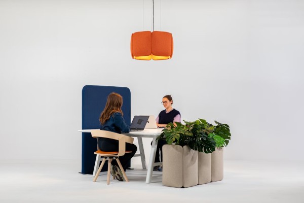 BuzziChicle Planter