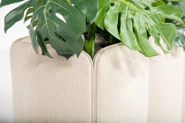 BuzziChicle Planter