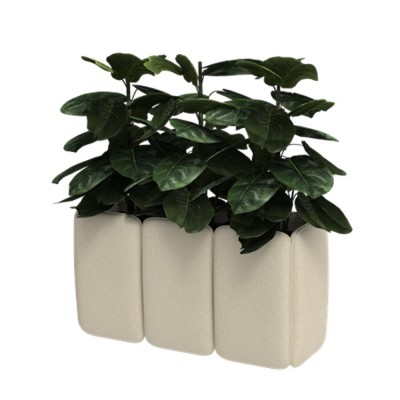 BuzziChicle Planter