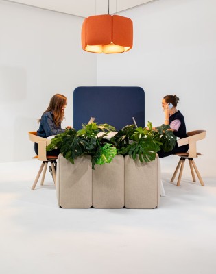 BuzziChicle Planter