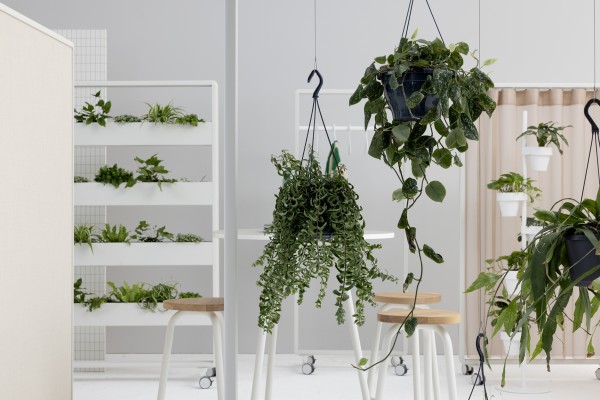 Patio planters