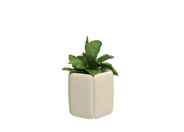 BuzziChicle Planter