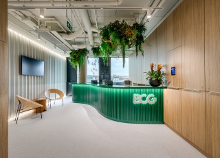 The Boston Consulting Group